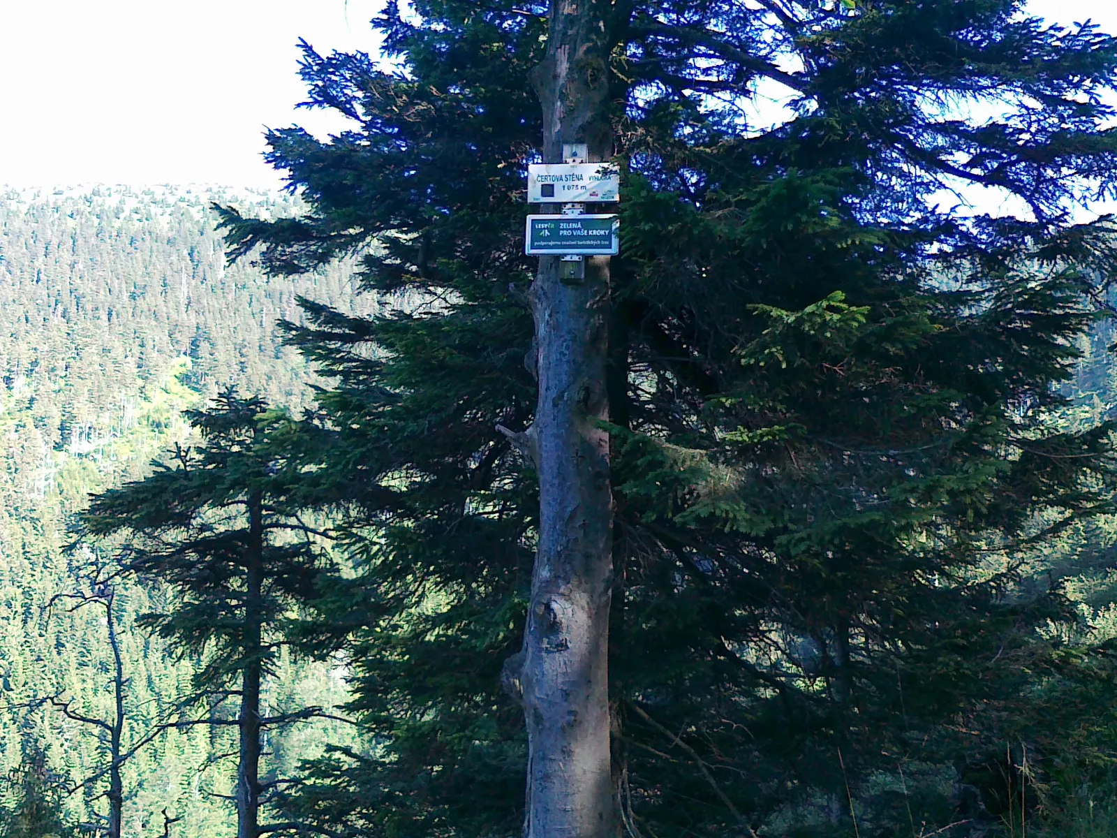 Viewpoint in the Čertova stěna nature reserve